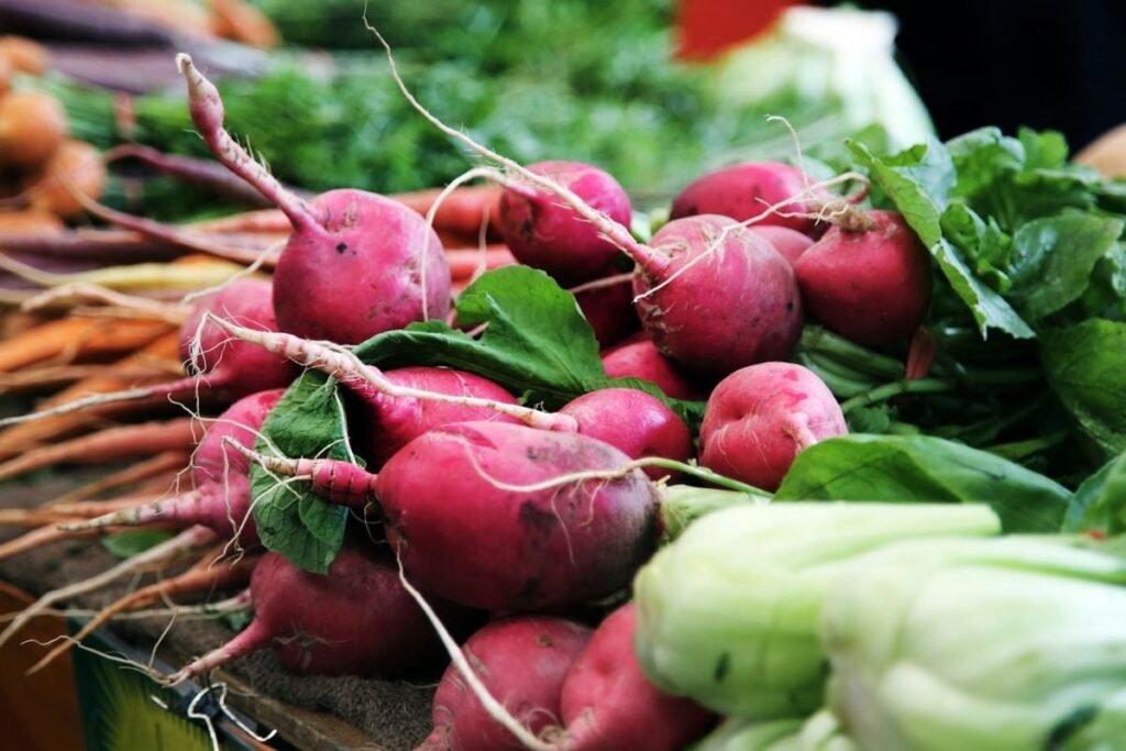Estudo sobre probióticos e saúde intestinal com ênfase em vegetais