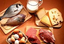 Múltiplas fontes de proteínas, incluindo carnes, peixes, ovos, leguminosas e castanhas, em uma mesa.